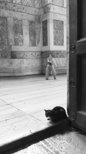 2013-08-28-11.56.33-copie